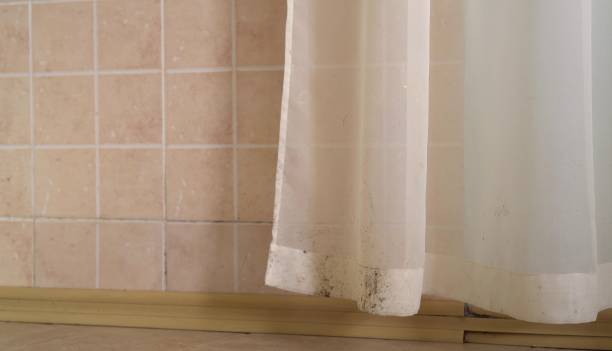 Best Residential Mold Inspection & Testing  in Crossville, AL