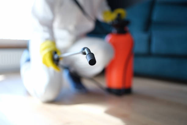 Best Attic Mold Removal  in Crossville, AL
