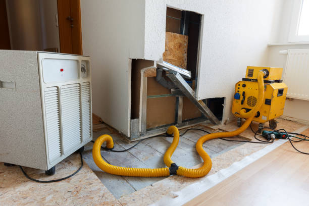 Best Real Estate Mold Inspection  in Crossville, AL